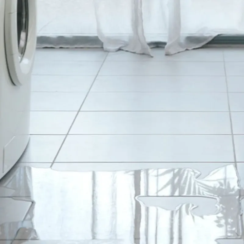 Appliance Leak Cleanup in Jim Wells County, TX