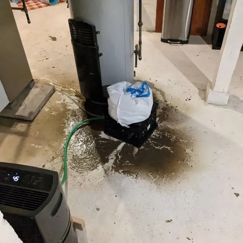 Sewage Backup Cleanup Service in Jim Wells County, TX